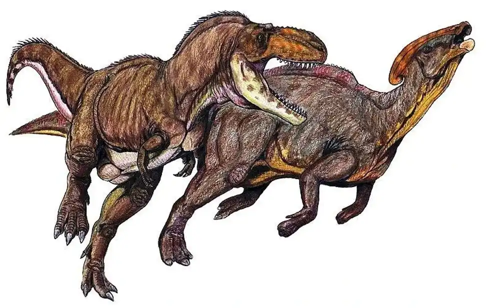 Here are some interesting Gorgosaurus facts that will tell you all that you need to know about features described by paleontologists!