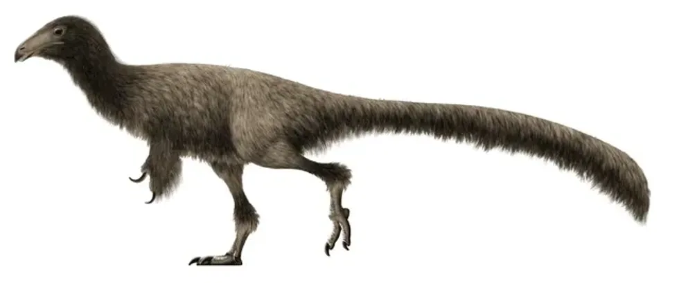 Here are some interesting jianchangisaurus facts for you to fascinate yourself with today.