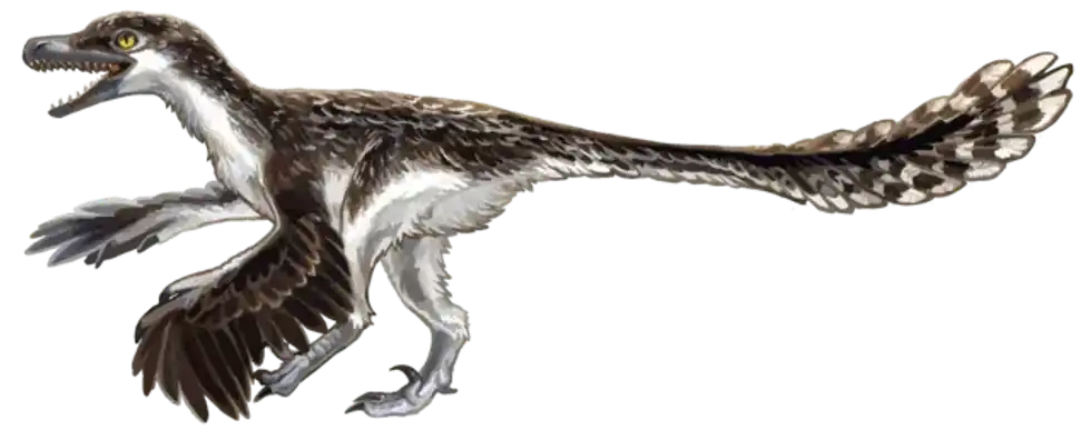Here are some interesting Judiceratops facts that will tell you all you need to know about the type species and the genera of related dinosaurs!