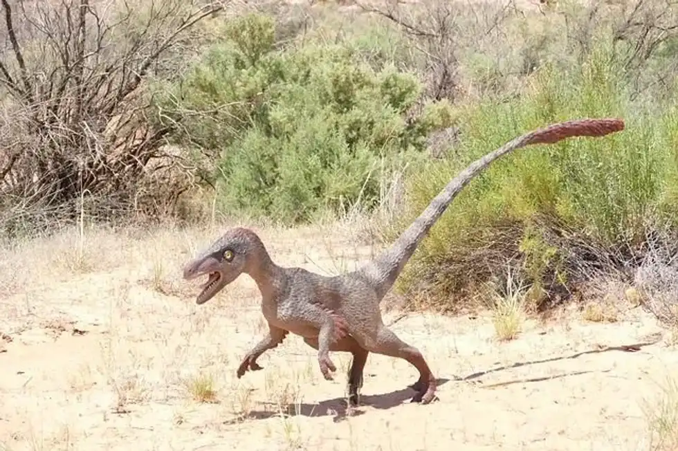 Here are some interesting Longisquama facts for kids.