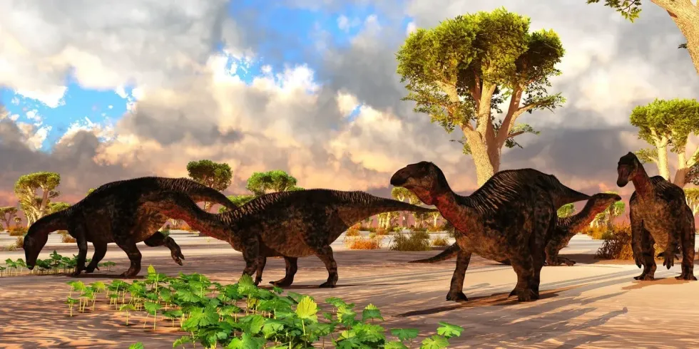 Here are some interesting Lurdusaurus facts that will give you a peek into the history of the earth!