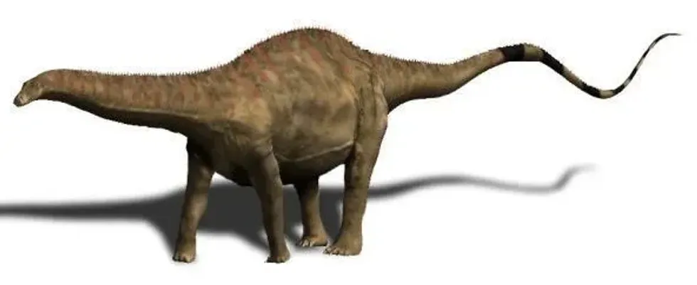 Here are some interesting Rebbachisaurus facts for you to ponder over today!