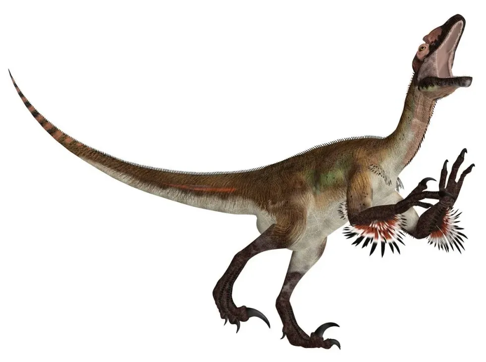 Here are some interesting Utahraptor facts for you to ponder over today!