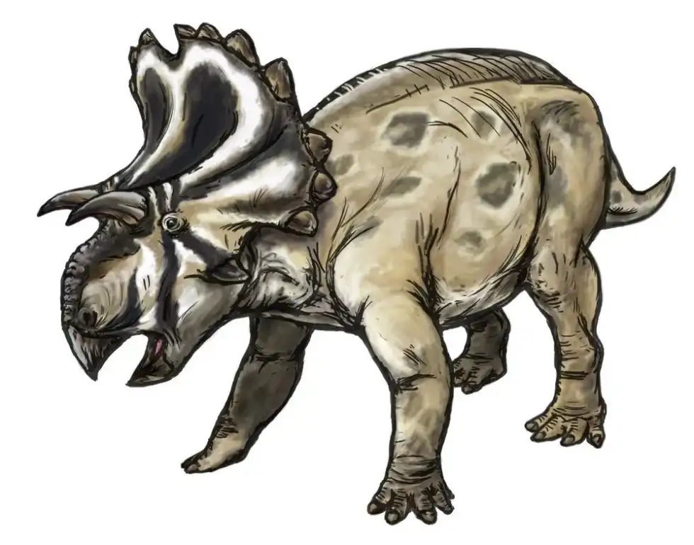 Here are some interesting Yehuecauhceratops facts that will tell you all you need to know about these wonderful animals!