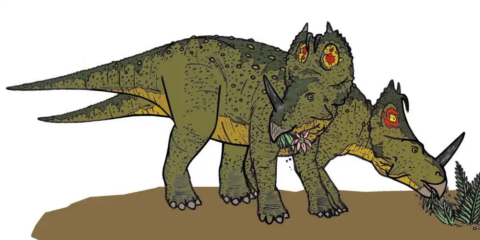 Here are some Monoclonius facts that cannot be forgotten.