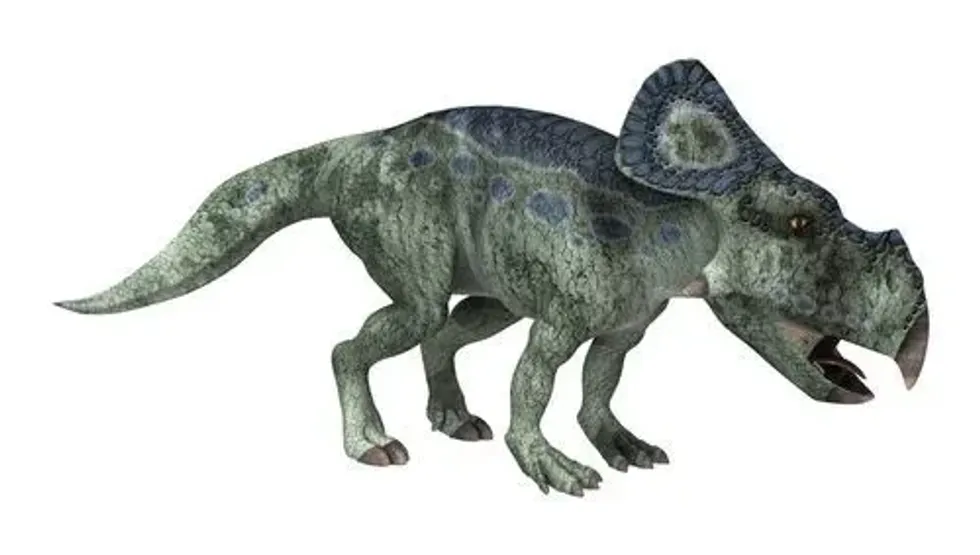 Here are some Protoceratops facts for kids.