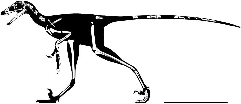 Hesperornithoides facts explore all details about the discovery of this bird-like dinosaur in this article.