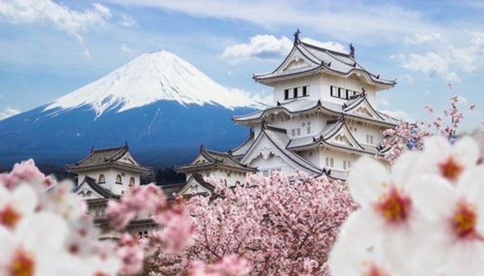 Himeji Castle and full cherry blossom, with Fuji mountain background in Japan