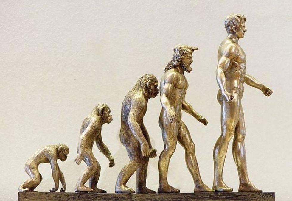 Homo habilis facts suggest that the species used stone tools as weapons or for scavenging.