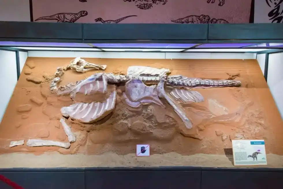How many fun Bactrosaurus facts do you know? Brush up on your fun facts with this article, and share it with friends!