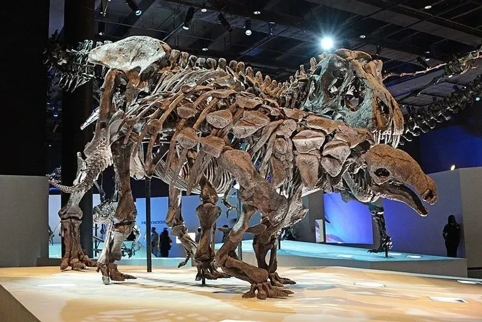 How many fun Denversaurus facts do you know? Learn all about this armored dinosaur right here!