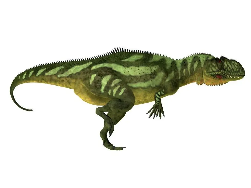 How many fun Yangchuanosaurus facts do you know about? Brush up your knowledge of this wonderful reptile and others like it!