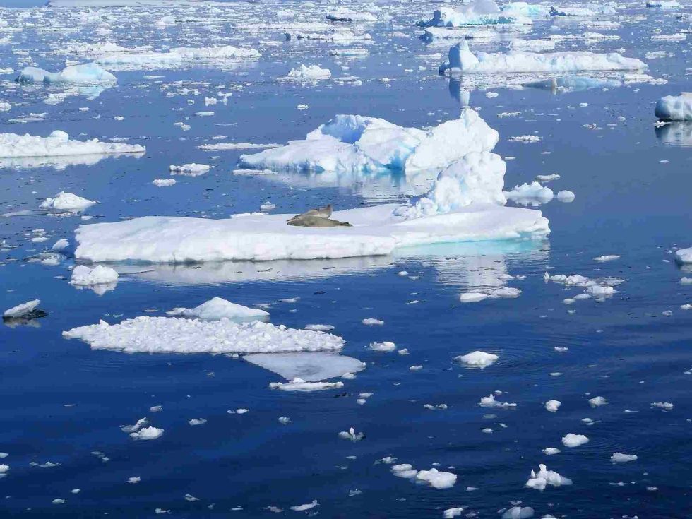 Huge chunks of ice drift in the cold waters