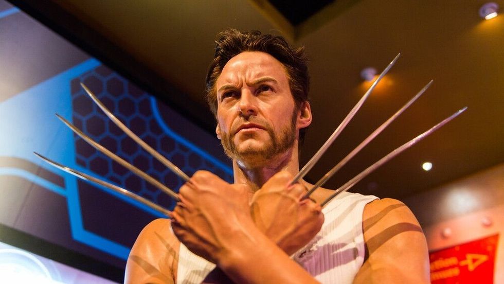  Hugh Jackman as Wolverine in the Madame Tussauds Hollywood wax museum.