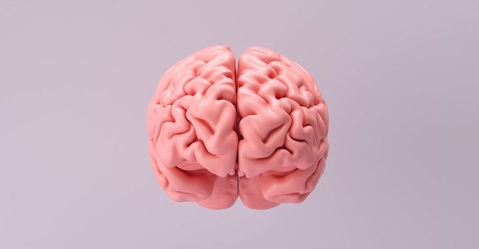 75 Mind-Blowing Human Brain Facts That Everyone Should Know! | Kidadl