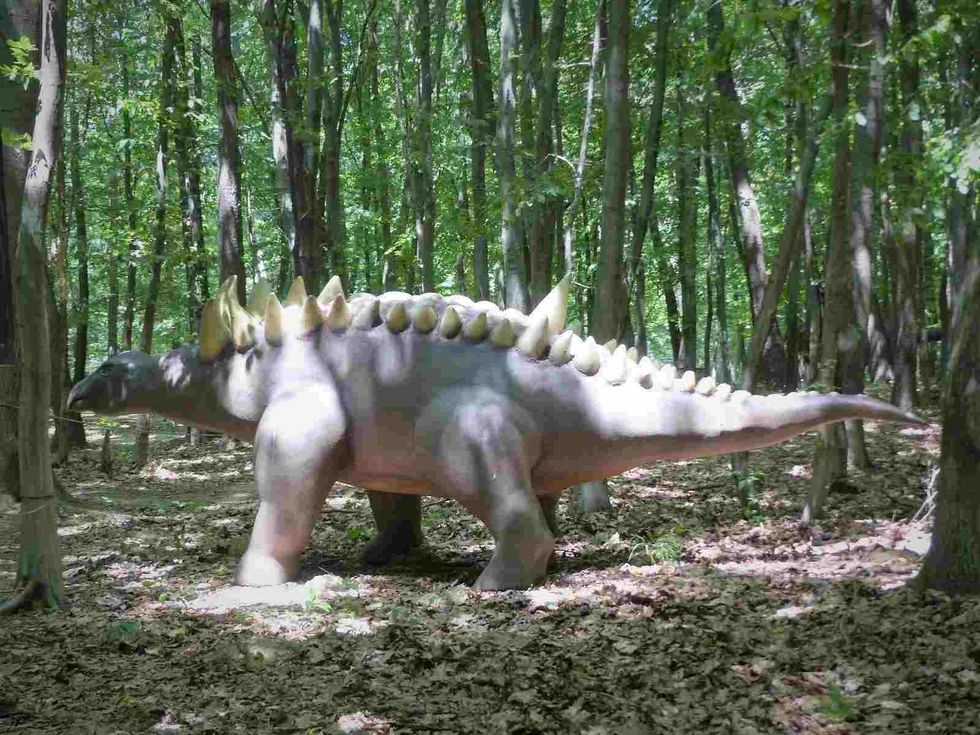Hungarosaurus facts are fascinating.
