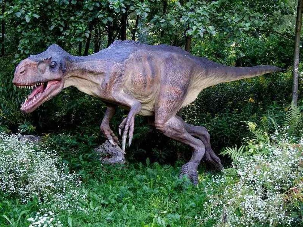 Hutt stated that the fossils collected belonged to a juvenile