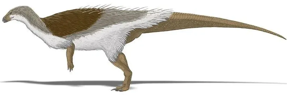 If you want to know incredible information about herbivore dinosaurs, check out the Albertadromeus facts.