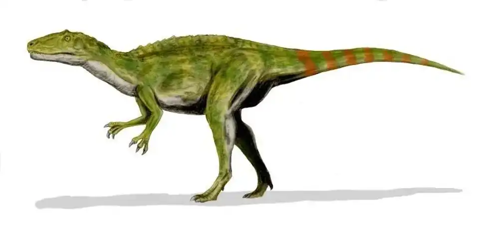 If your kids are more interested in dinosaurs than they are scared of dinosaurs, let them explore these Fukuiraptor facts.