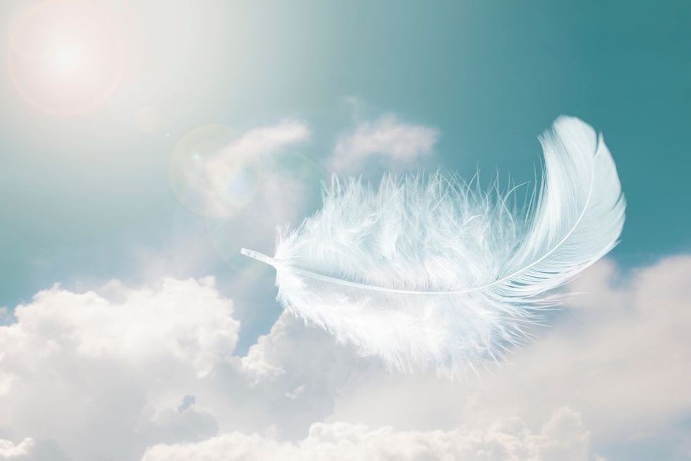 Image of a feather fluttering in the air