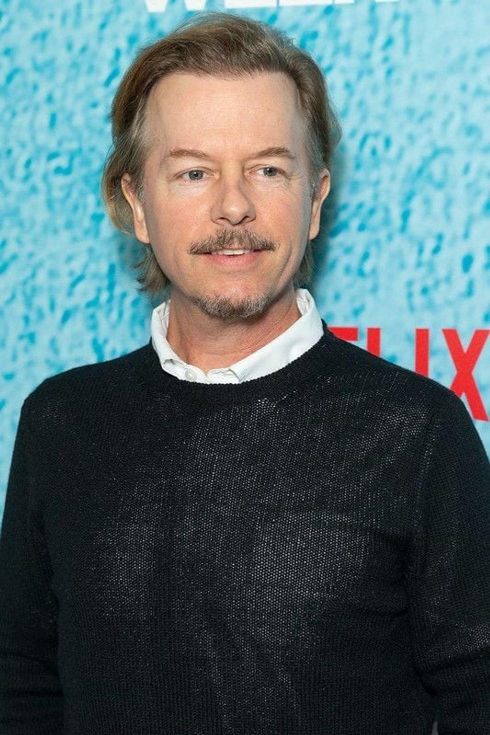 75 David Spade Quotes 