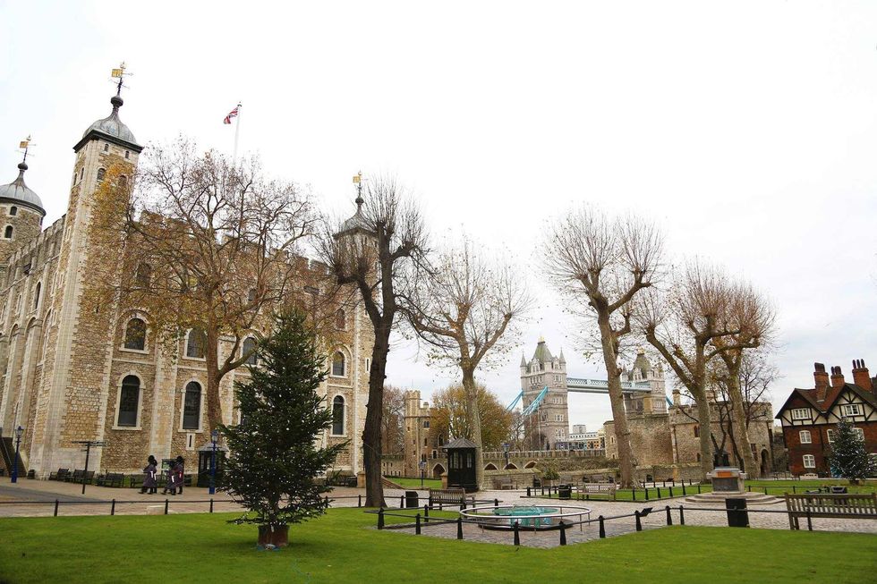 Book Tickets: Best Of London Tour With Tower of London VIP Access