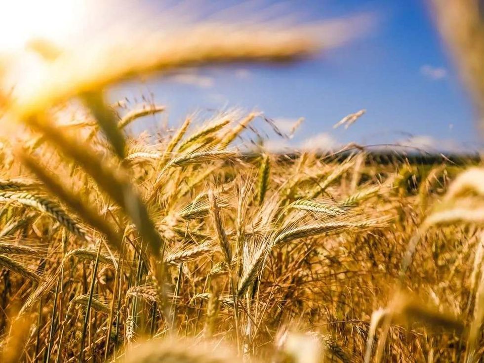 30 Farming Tools Names That Will Make Your Cultivation Easier