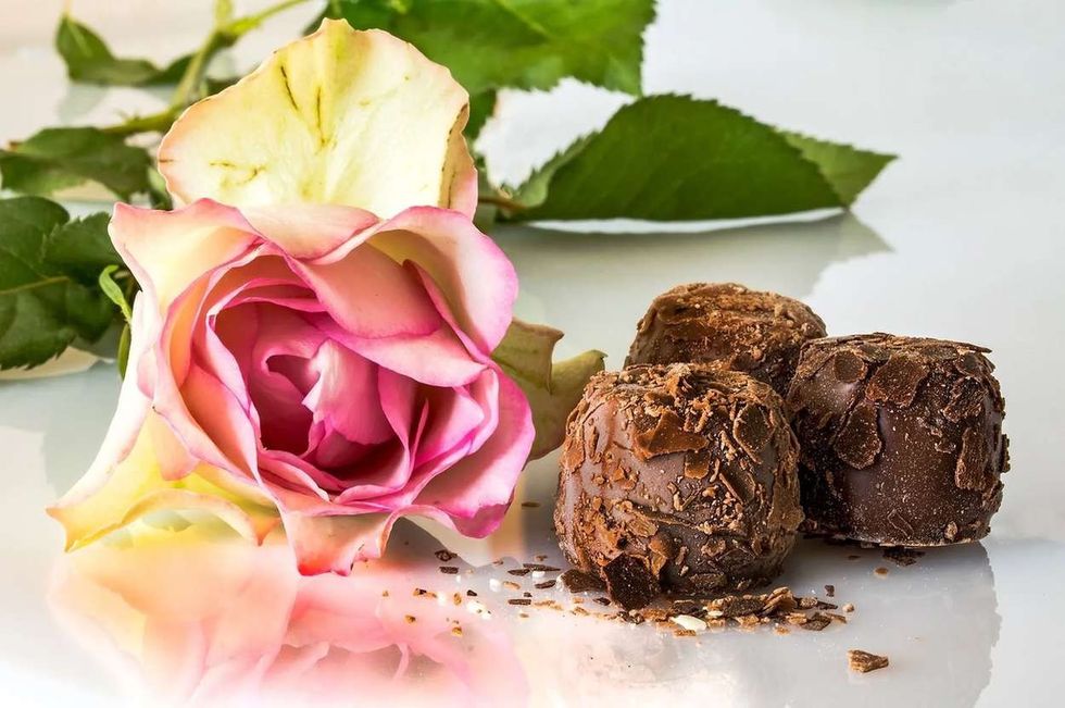 Are Roses Edible? Can You Eat Rose Petals? Know All About Edible Roses!