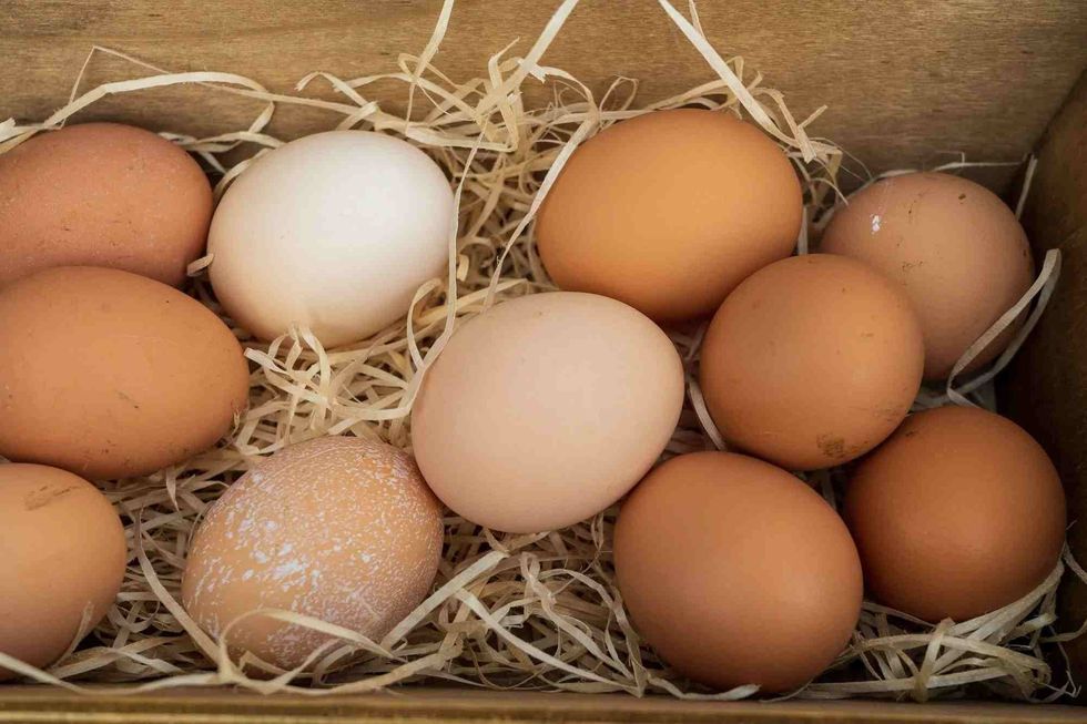 31 Egg Facts Every Omelette Lover Should Know And Learn From!
