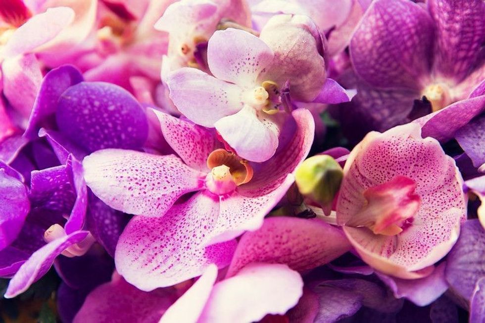 What Color Does Pink And Purple Make? Colorful Facts For Curious Kids