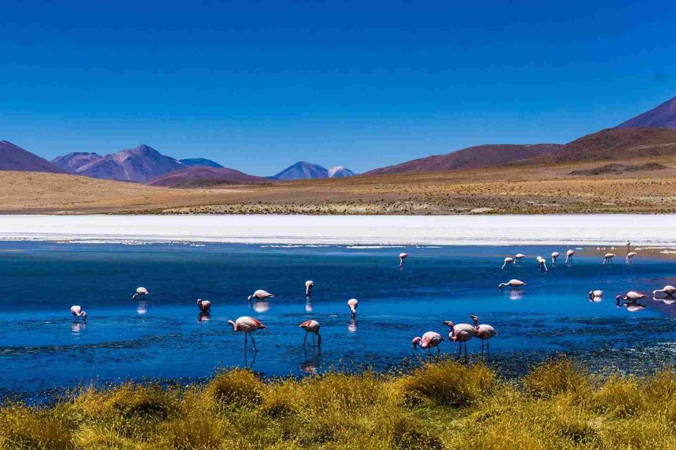 59 Facts About South America You Will Absolutely Love
