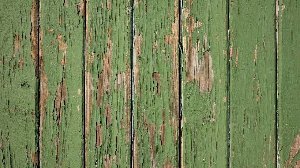 26 Facts About The Color Green For Aspiring Environmentalists