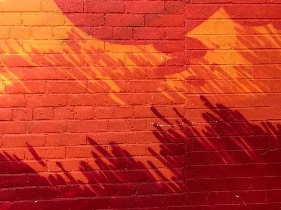 27 Facts About The Color Orange That Will Make Your Mouth Water