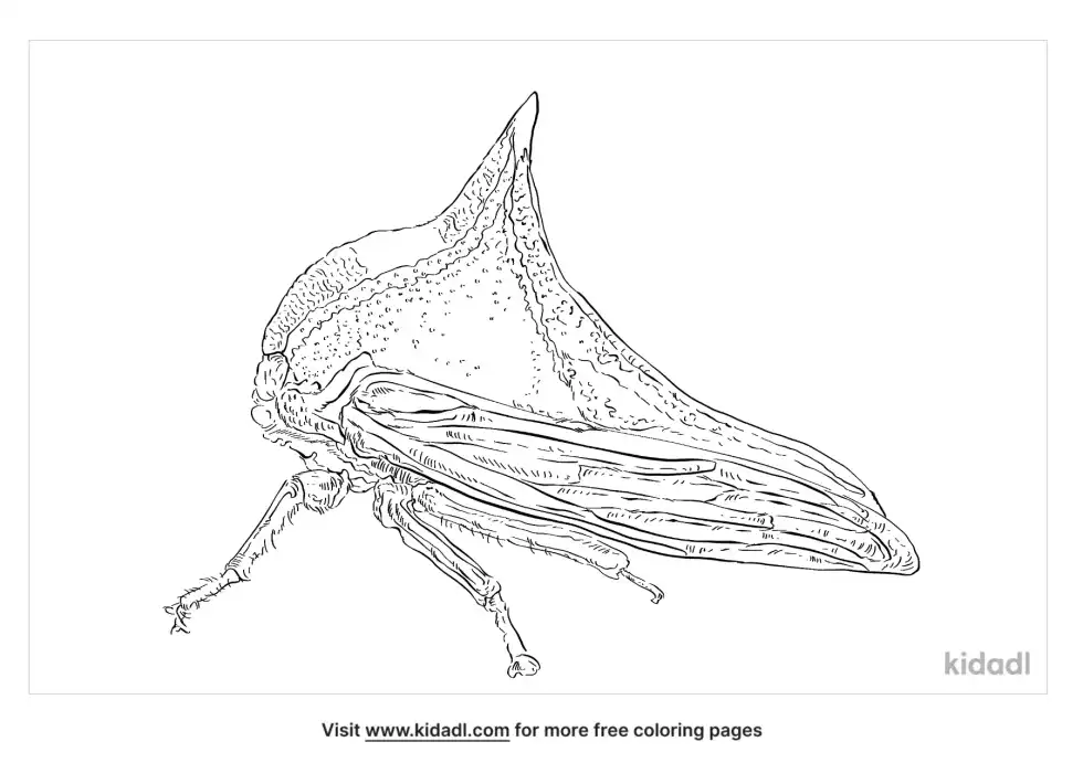 Treehopper Coloring Page