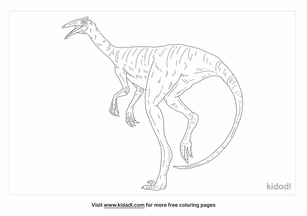 Pelecanimimus Coloring Page