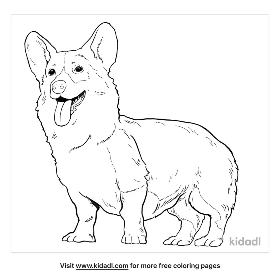Dorgi Coloring Page