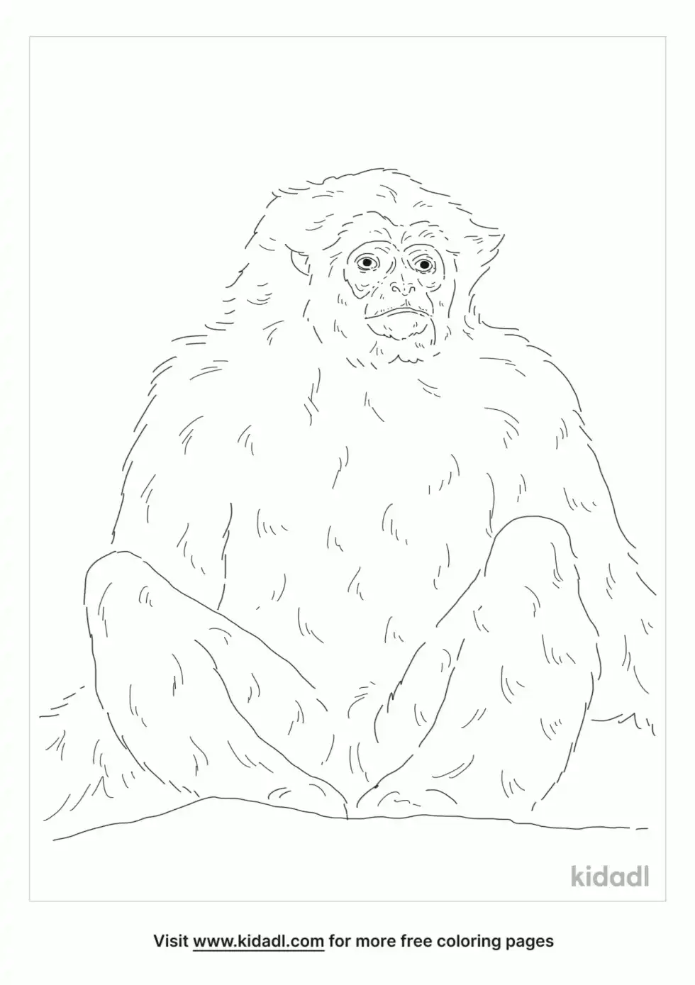 Hainan Gibbon Coloring Page