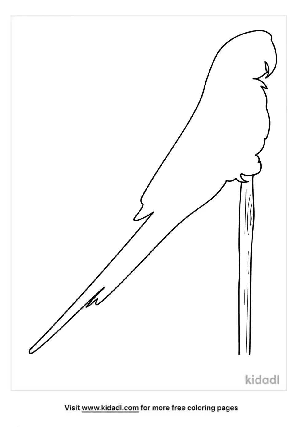 Macaw Outline