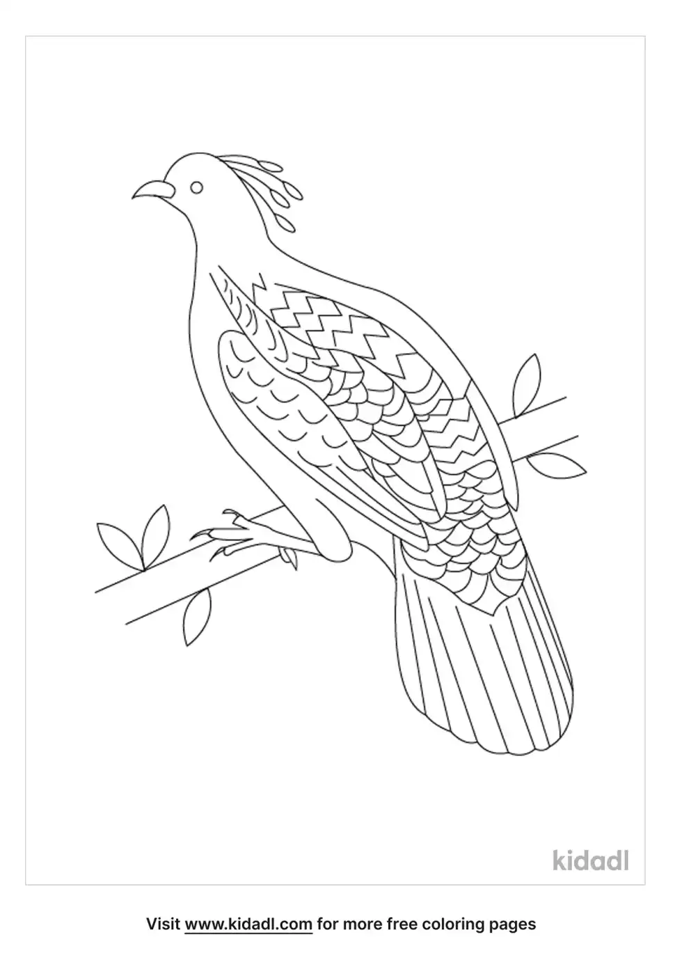 National Bird Of Nepal Coloring Page