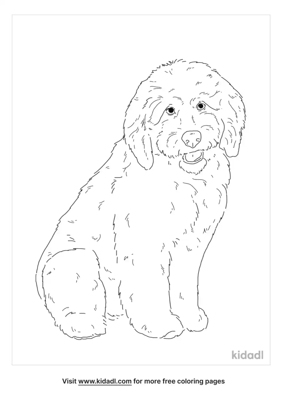 Saint Berdoodle Coloring Page