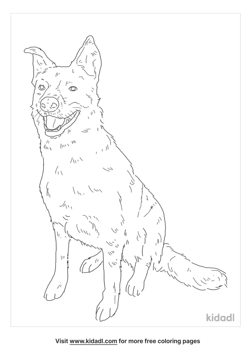 Texas Heeler Coloring Page