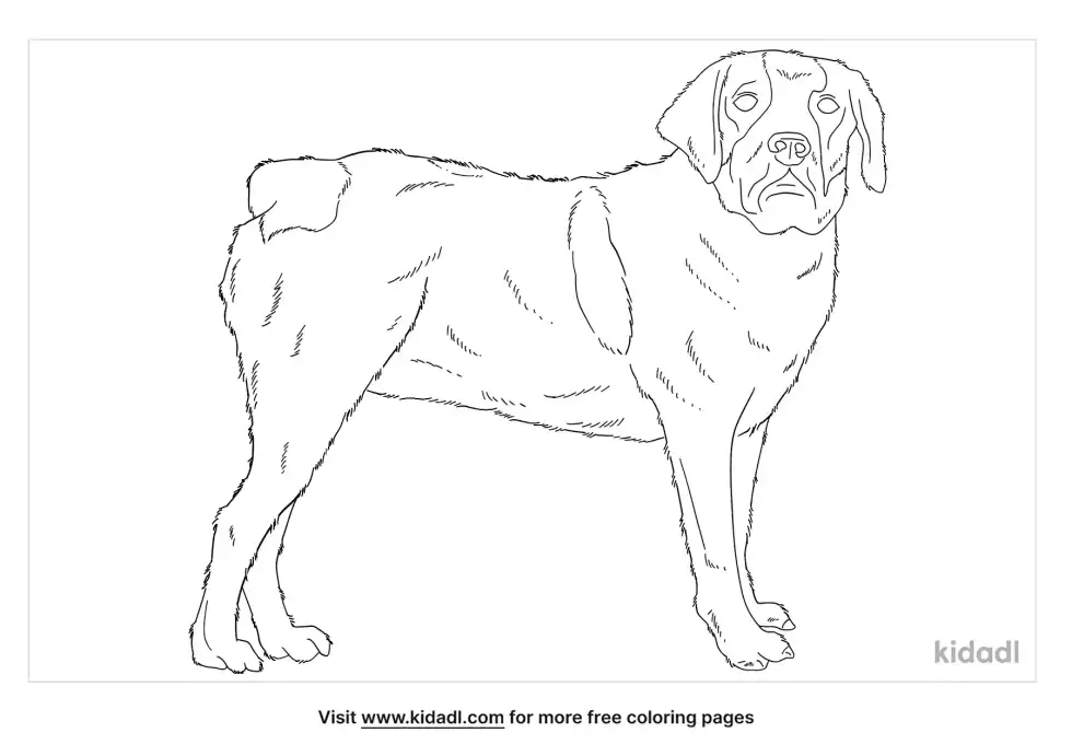 Beabull Coloring Page