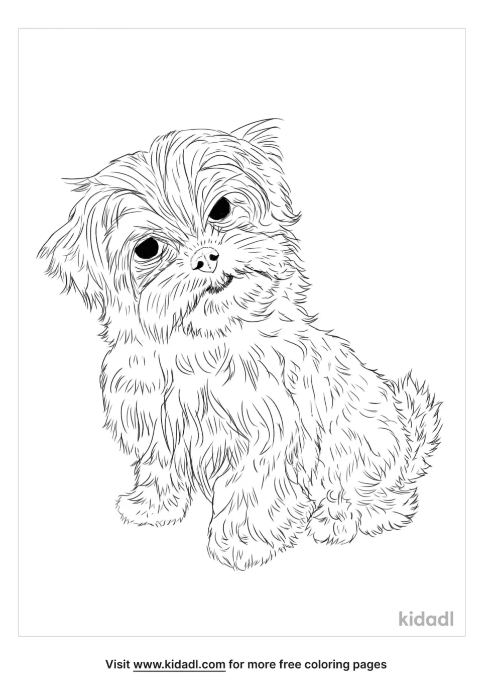 Shorkie Coloring Page