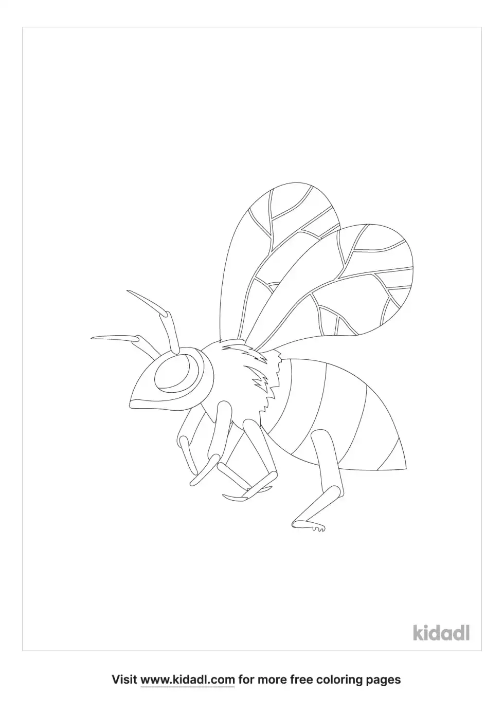 Georgia Insect Coloring Page