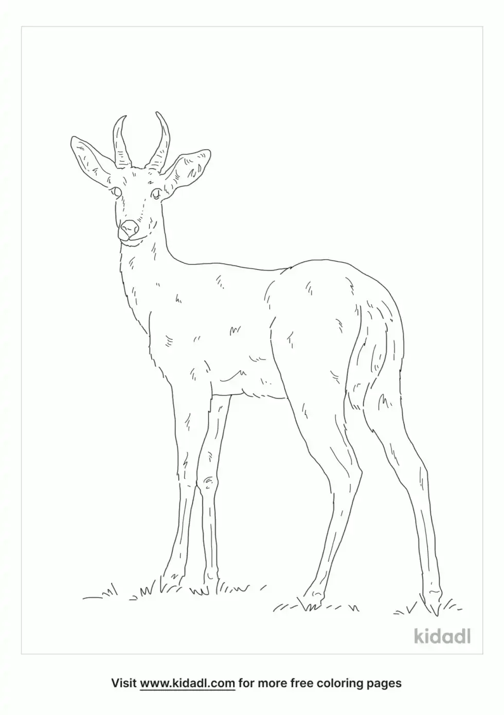 Southern Reedbuck Coloring Page