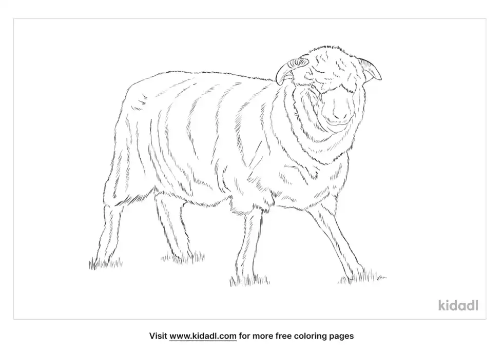Dorset Coloring Page