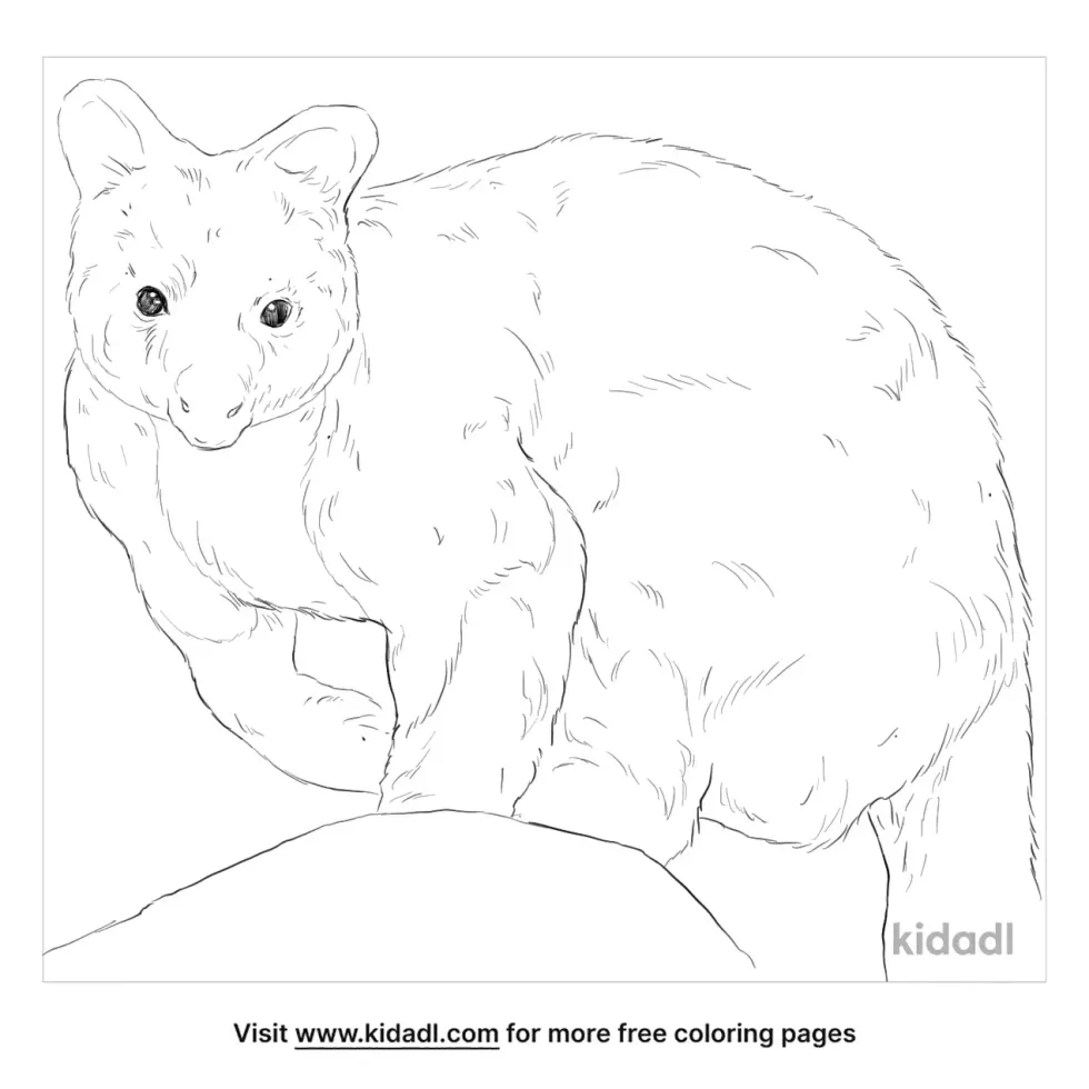 Dingiso Coloring Page