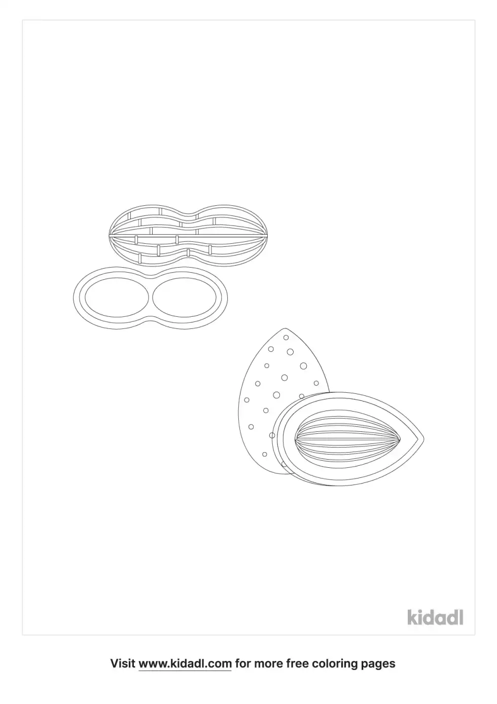 Nuts And Nutshell Coloring Page