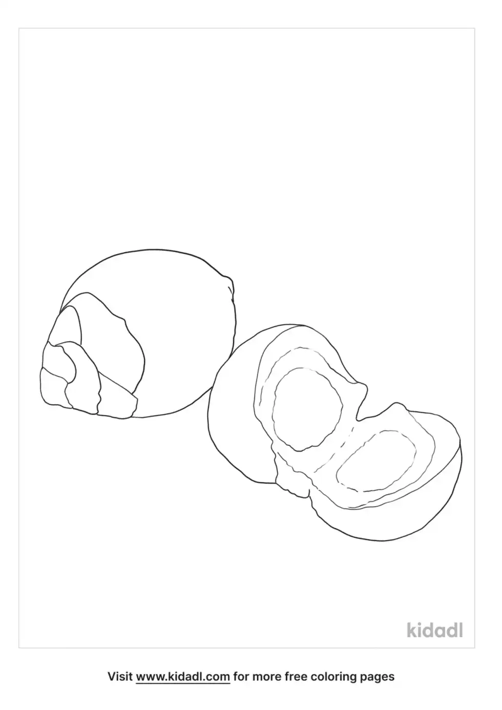 Palm Nut Coloring Page