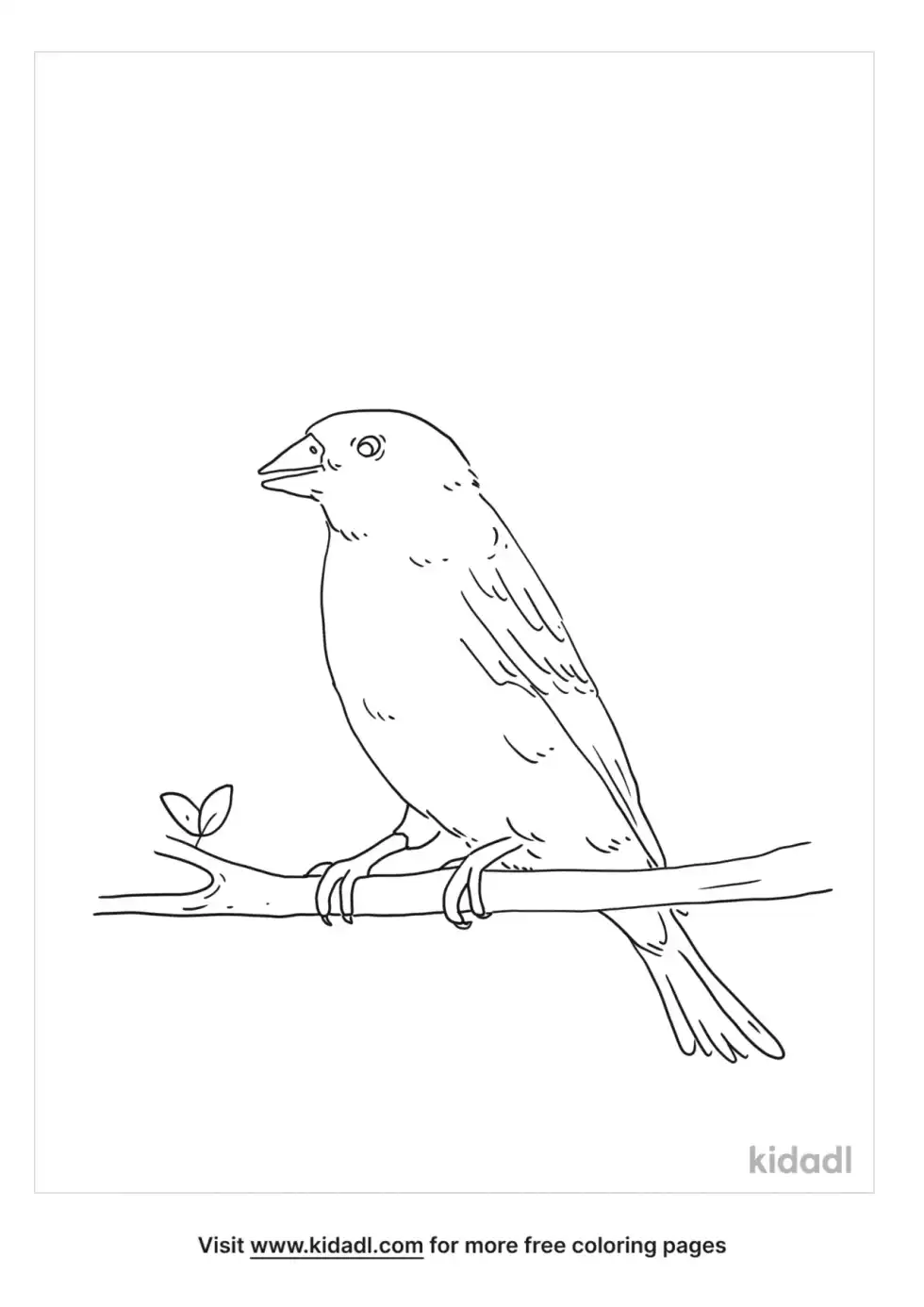 New Jersey State Bird Coloring Page